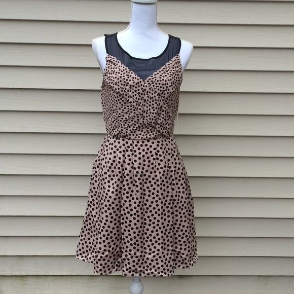 Lauren Conrad Sweet Confections Dress - Picture 1 of 8